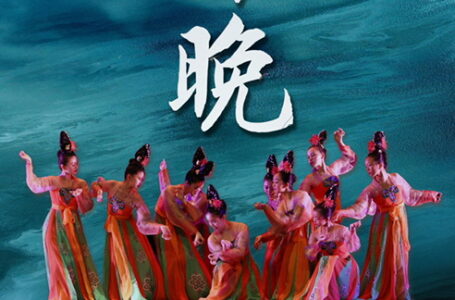 Shadows, Magic, and Wonder: A Spectacular 2026 Chinese New Year Show